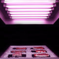 Pink LED Tube for Meat with Sample Provided